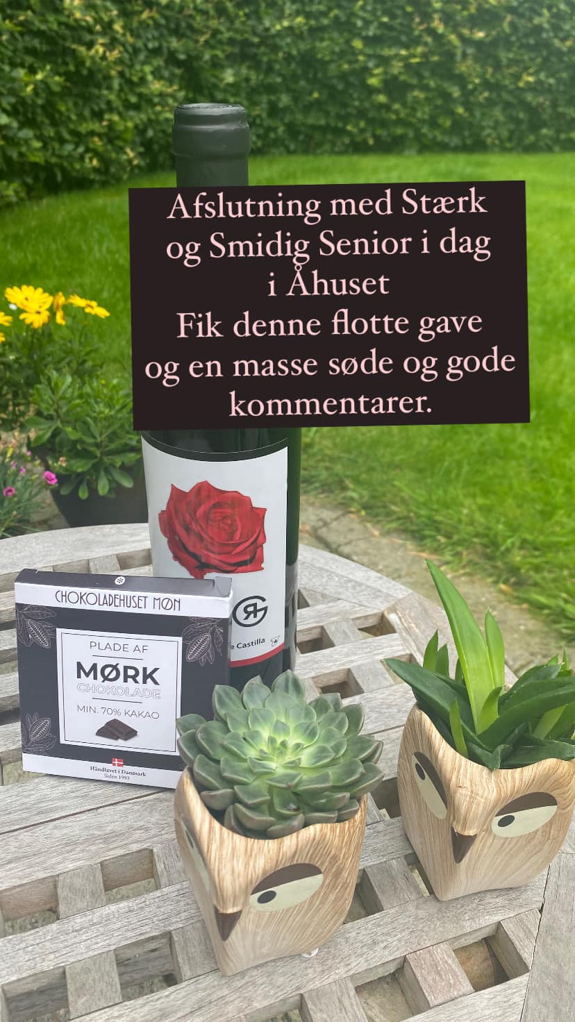 Afslutning med Stræk og Smidig