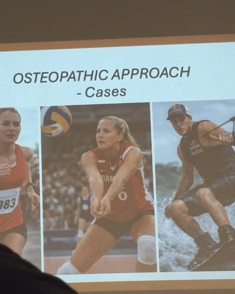 Kursus nr 7 på 3. år af osteopatistudiet