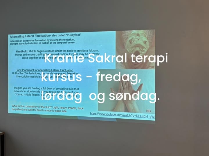 God start på 3. års osteopatstudie